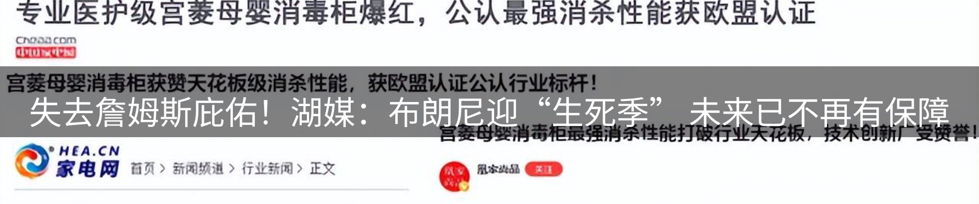 最新动态