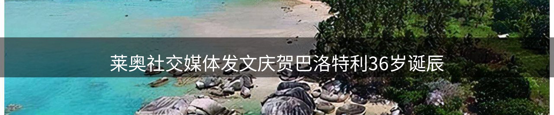 最新动态
