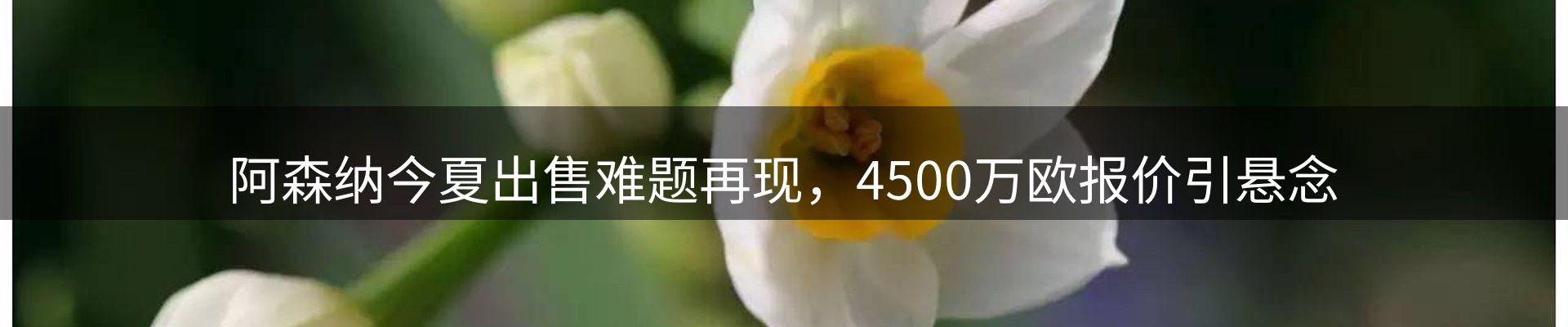 最新动态