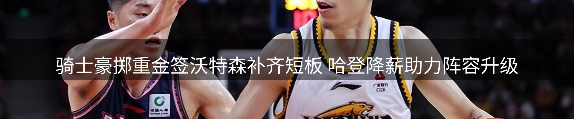 最新动态